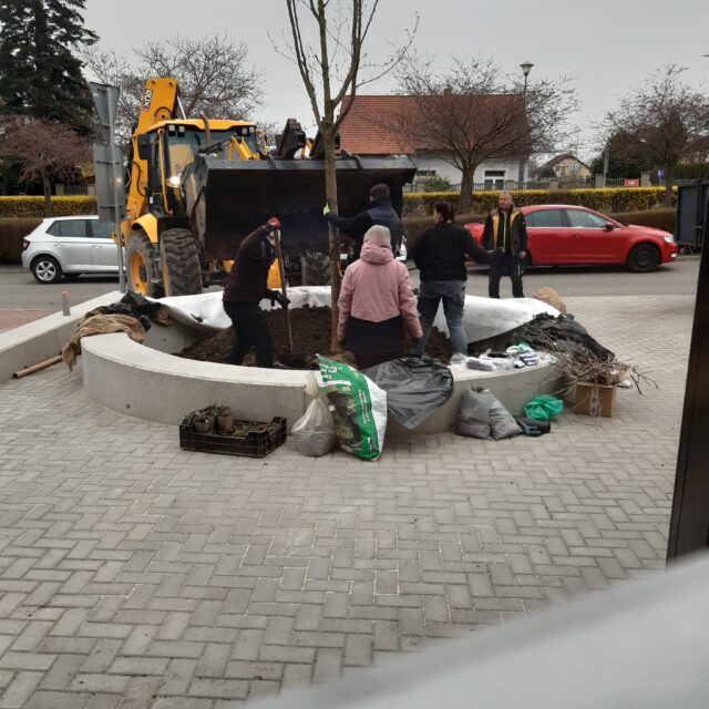 Bildbeschreibung
