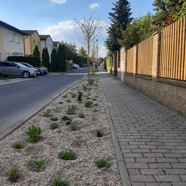 Bildbeschreibung