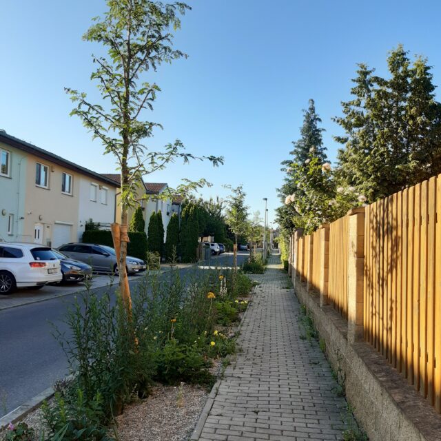 Bildbeschreibung