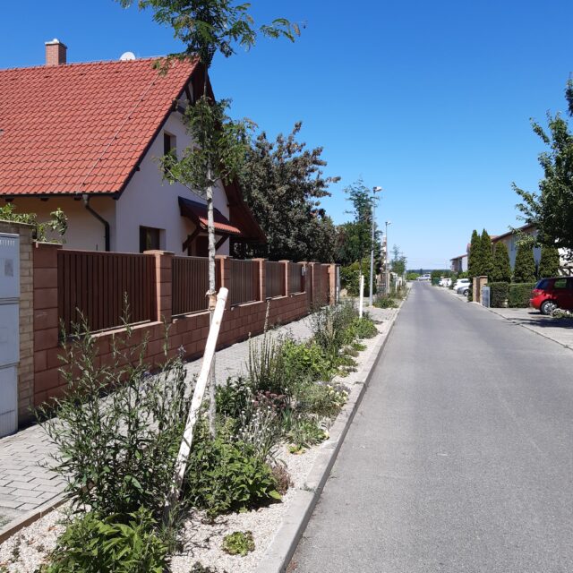 Bildbeschreibung