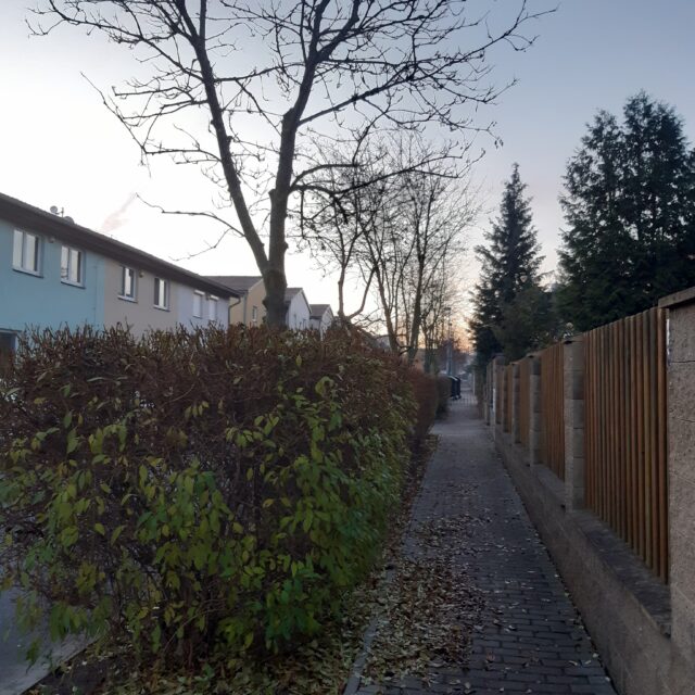 Bildbeschreibung
