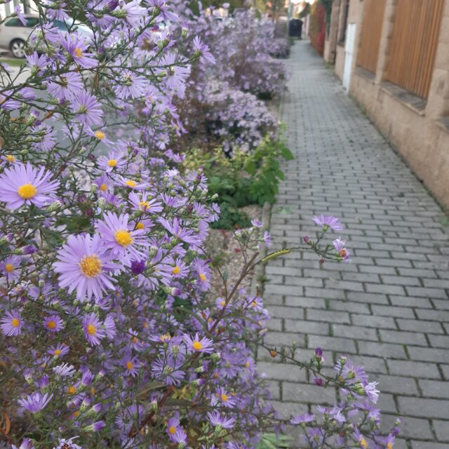 Bildbeschreibung