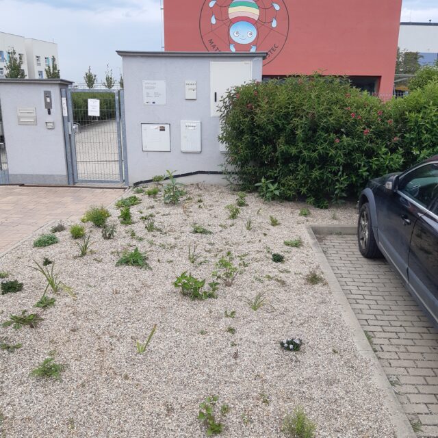 Bildbeschreibung